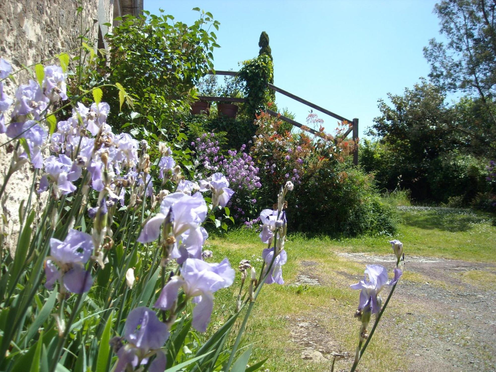 Breuil-Barret La Tour Des Laudes Bed & Breakfast エクステリア 写真